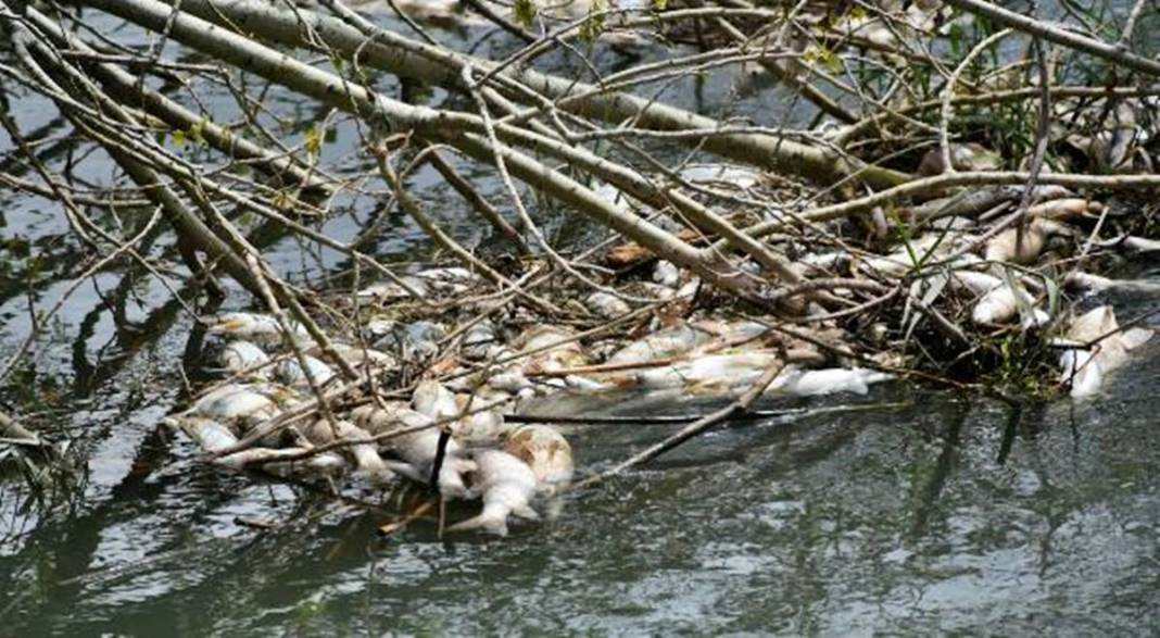 O kentteki korkutan görüntülere inceleme! Bakanlık yetkilileri bölgeye gönderildi 8